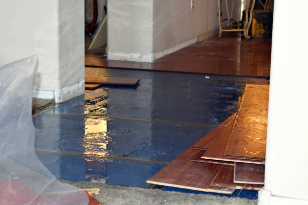 Professional Flood Cleanup technician working in New Boston, MI
