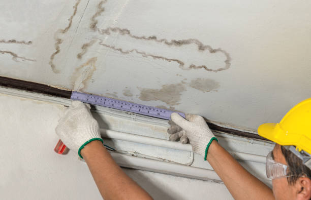 Reliable Flood Cleanup contractor in New Boston, MI by Water Damage Irwin